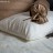 Постельное бельё дизайн Узор Пейсли Hefel (Австрия) - Комплект постельного беля Hefel купить